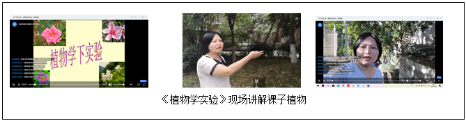 文本框: 《植物学实验》现场讲解裸子植物